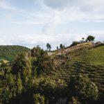 Idyllische Grüne Hügel