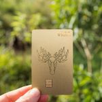 Goldene Visa Reisekreditkarte Der Bank Norwegian Mit Geometrischem Elchkopf Design Vor Grünem, Unscharfem Hintergrund