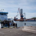 Faehre in goeteborg mit kraehnen und karlatornet im hintergrund