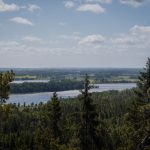 Aussicht über die Seenlandschaft in Dalsland Schweden